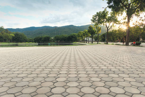 Best Custom Driveway Pavers  in Hokes Bluff, AL