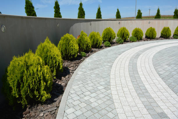 Best Driveway Paver Repair  in Hokes Bluff, AL